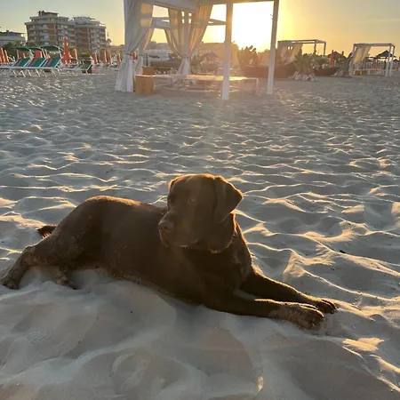 Szálloda Le Ali Rimini